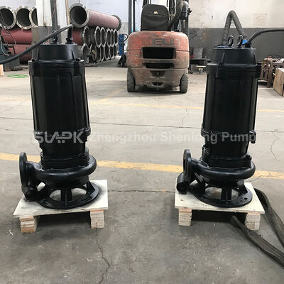 High-Efficiency Submersible Sewage Pump, 220m³/h Flow Municipal Engineering Detailed Installation Manual